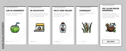 coconut coco fruit fresh white onboarding icons set vector