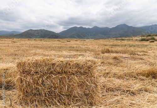 A bale of hay on a mowed field in the mountains.