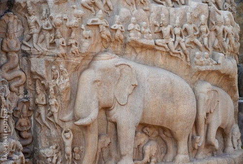 Bas relief rock cut sculptures of Elephant are carved in the monolithic granite rocks in Mahabalipuram, Tamil nadu. Ancient historical bas relief sculpture carved in the stone rock in Mahabalipuram.