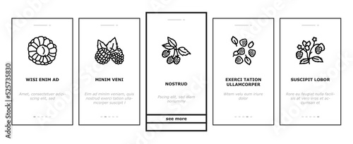 raspberry fruit berry red food onboarding icons set vector