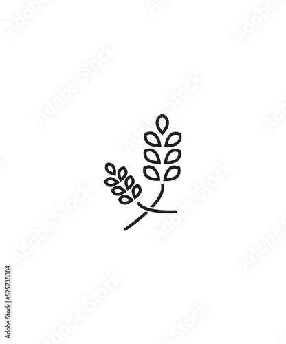 crop icon,vector best line icon
