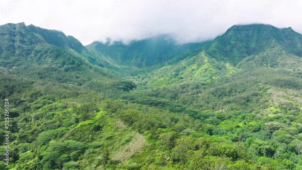 Inspiring aerial view of Kauai's lush valley revealing dramatic, unspoiled beauty. Pristine nature with tropical rainforests with misty clouds over. High quality 4k footage Inspiring aerial view of Kauai's lush valley revealing dramatic, unspoiled beauty. Pristine nature with tropical rainforests with misty clouds over. High quality 4k footage