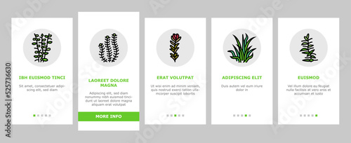 Aquatic Seaweed Natural Plant onboarding icons set vector