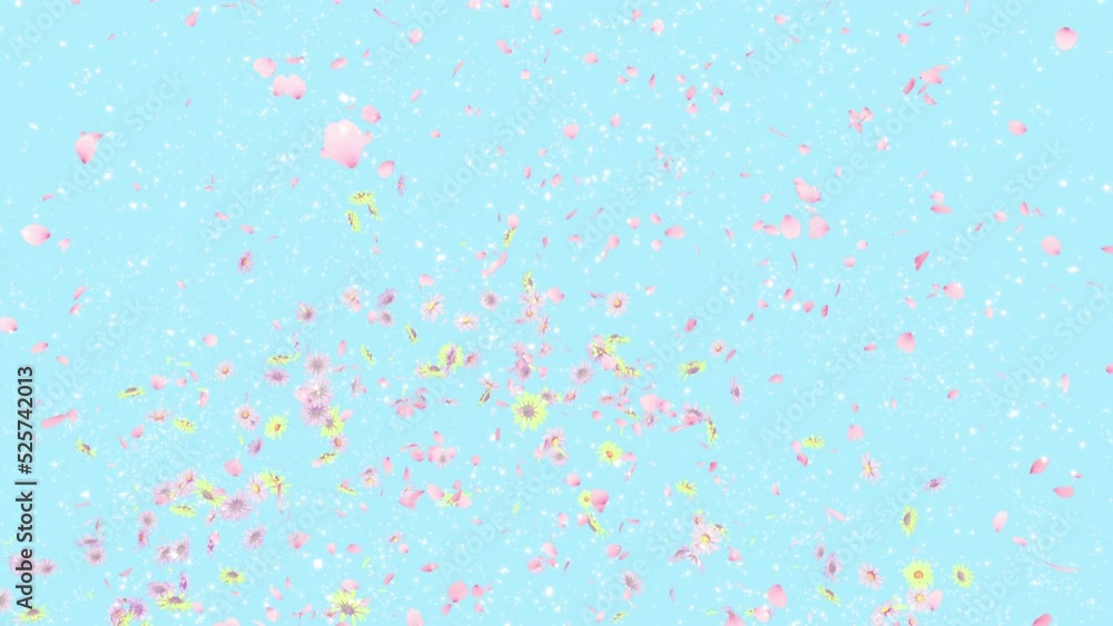 Summer Flower and Petals Blast on Pastel Background. Blast of daisy on pastel background Summer Flower and Petals Blast on Pastel Background. Blast of daisy on pastel background