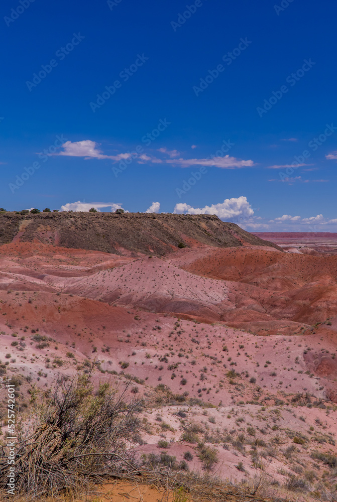Vertical view of the Badlands scenery in the Petrified Forest National Park, Arizona, USA
