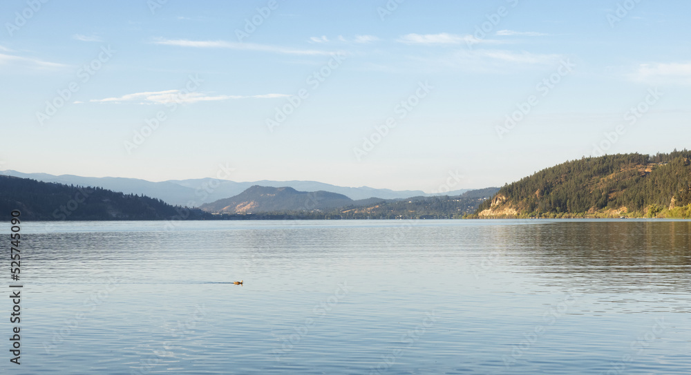 Peaceful View of Wood Lake with Reflection on the water and mountains in background. Lake Country, Okanagan, British Columbia, Canada. Sunrise Sky