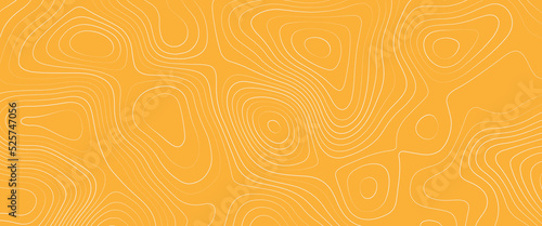 abstract background with lines, Abstract Vector Seamless Pattern with Linear Stylized Salmon Fish Fillet Texture. Vector background with stripes salmon, Abstract topographic map background. 