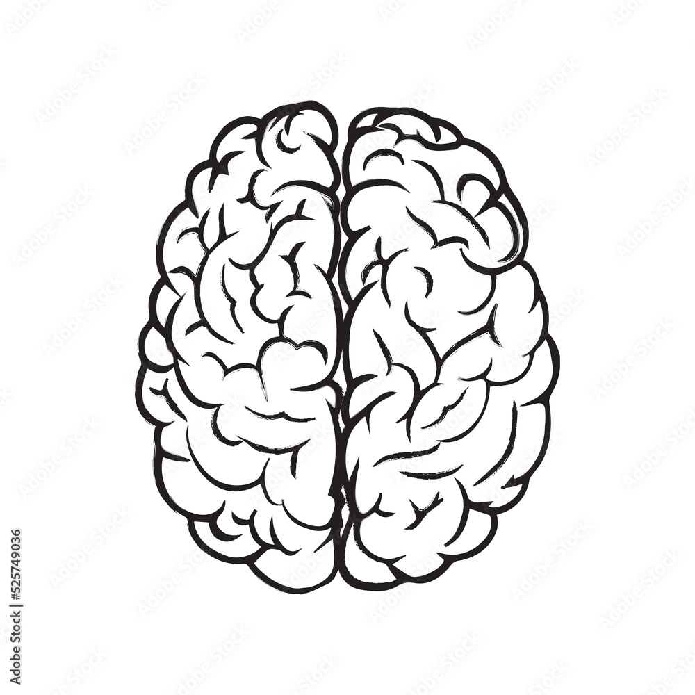 Human Brain Vector Illustration Human Brain Vector Illustration