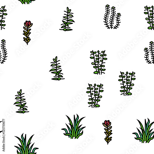 Aquatic Seaweed Natural Plant vector seamless pattern