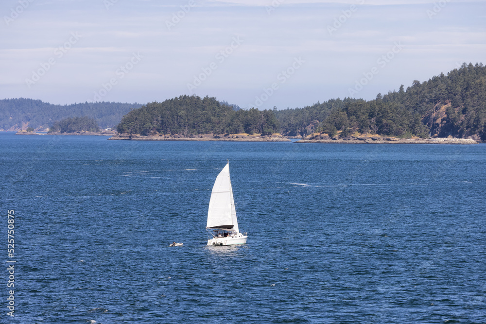 Sailboat in Canadian Landscape by the ocean and mountains. Summer Season. Gulf Islands near Vancouver Island, British Columbia, Canada. Canadian Landscape.