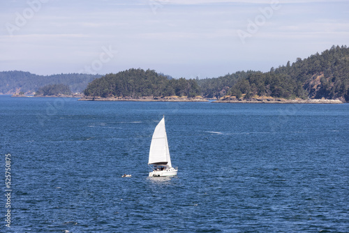 Sailboat in Canadian Landscape by the ocean and mountains. Summer Season. Gulf Islands near Vancouver Island, British Columbia, Canada. Canadian Landscape.