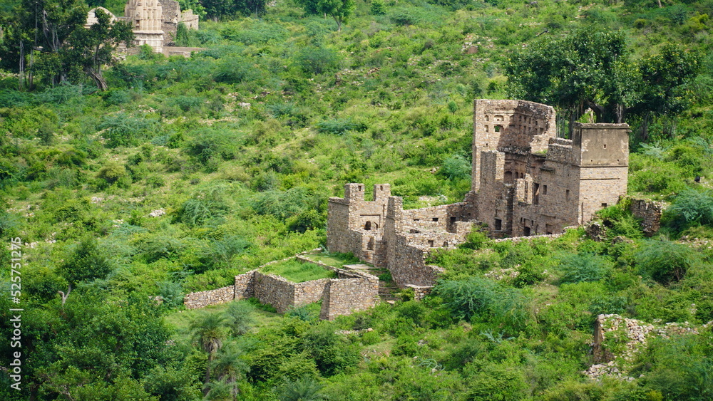 Fototapeta premium ancient stone of rajasthan image