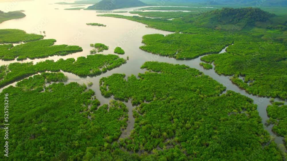 Drone flying over a river with a large mangrove forest during the beautiful sunrise. Phang Nga Province, Thailand. nature and travel concept. 4K
Drone flying over a river with a large mangrove forest during the beautiful sunrise. Phang Nga Province, Thailand. nature and travel concept. 4K