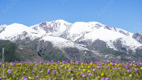 White mountain peaks against a background of green hills