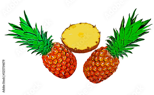 two delicious pineapple slices filled with vitamin juice and pleasant taste