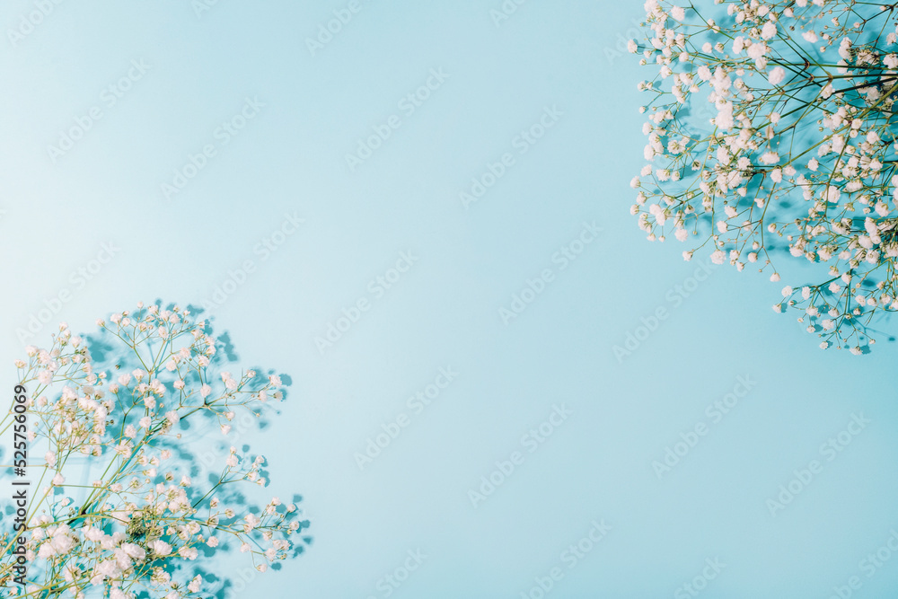 White gypsophila flowers on light blue background in sunlight. Top view, flat lay, copy space