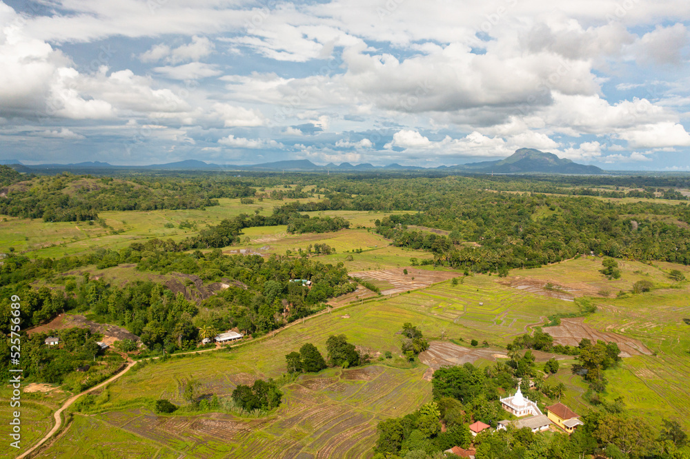 Aerial view of rice fields and agricultural land in the countryside. Sri Lanka.