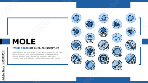 Mole Skin Problem And Disease landing header vector