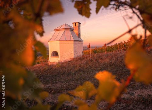 Small wine cellar at wonderful vineyards at Tokaj in autumn photo