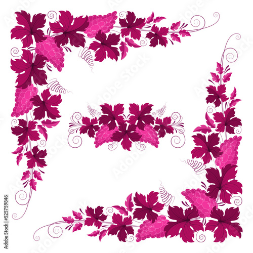 Grape branches, leaves and bunches of grapes in vintage style. Set of design elements for the concept of growing grapes and making wine. Set of vector vintage patterns in red wine color.