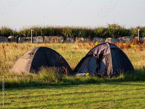Two simple tents in a field on a wild growing grass next to agriculture land. Warm day. . Travel and camping concept. Nobody. Explore nature theme.