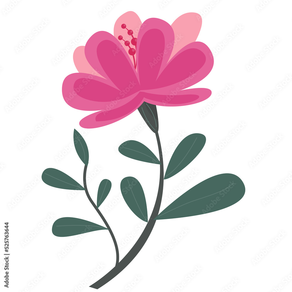 flower and leaf flower and leaf