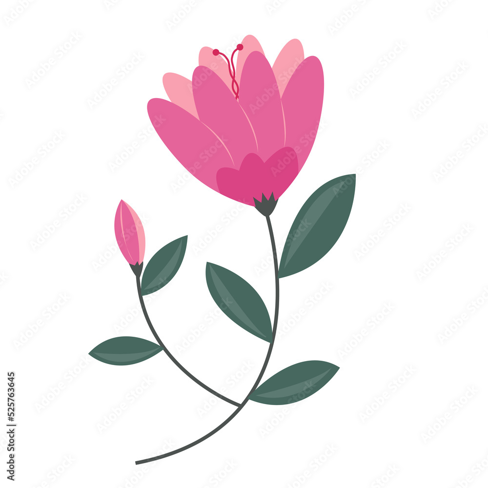 flower and leaf flower and leaf