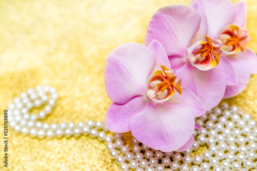 purple Orchid and pearl necklace on a shiny gold background
purple Orchid and pearl necklace on a shiny gold background