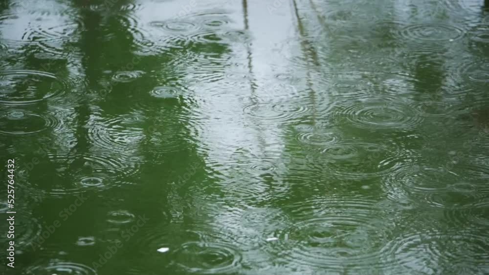 Ripples of rain spread on the green surface of the water. Slow motion. Ripples of rain spread on the green surface of the water. Slow motion.