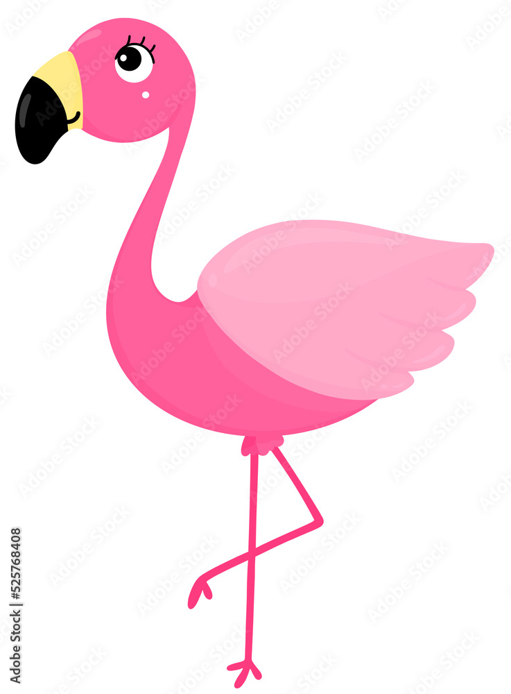 Fototapeta premium Pink Flamingo, Tropical birds