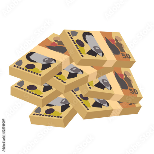 Kina Vector Illustration. Papua New Guinea money set bundle banknotes. Paper money 50 PGK. Flat style. Isolated on white background. Simple minimal design.