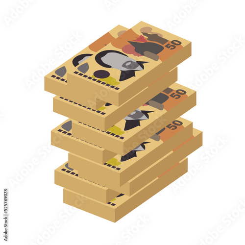 Kina Vector Illustration. Papua New Guinea money set bundle banknotes. Paper money 50 PGK. Flat style. Isolated on white background. Simple minimal design.