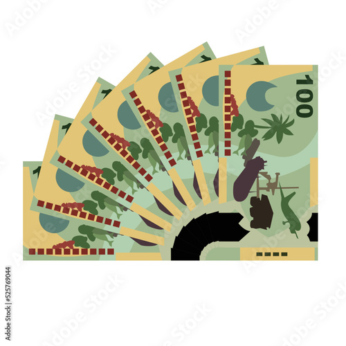 Kina Vector Illustration. Papua New Guinea money set bundle banknotes. Paper money 100 PGK. Flat style. Isolated on white background. Simple minimal design.