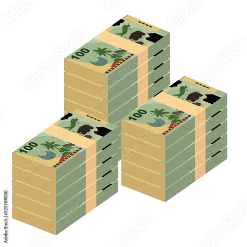 Kina Vector Illustration. Papua New Guinea money set bundle banknotes. Paper money 100 PGK. Flat style. Isolated on white background. Simple minimal design.