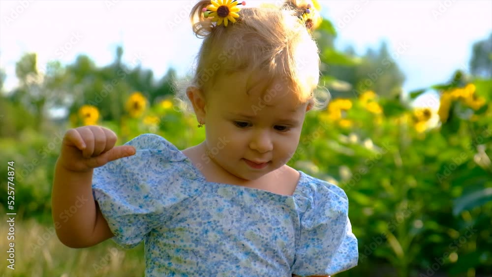 A child plays in a field of sunflowers. Ukraine. Selective focus. A child plays in a field of sunflowers. Ukraine. Selective focus.