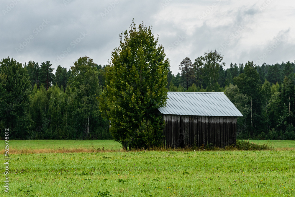 Obraz premium Burtrask, Sweden, A small wooden barn in a field.
