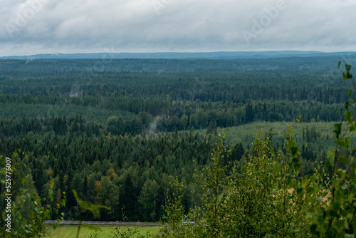 Burtrask, Sweden,  A forest lanscape in Norrland. photo