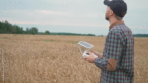 Agricultural industry, man farmer control the quadcopter while standing in the field of rye, ecologist analyzes the growth and ripening of rye. photo