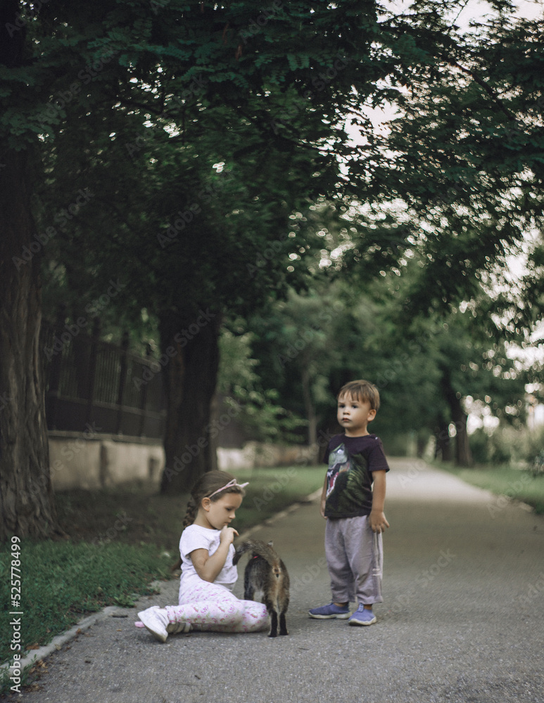 Fototapeta premium Kids and cat