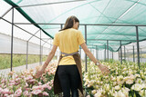 Young florist in apron working in greenhouse. Cheerful woman walking among flowers, inspecting them for sale.