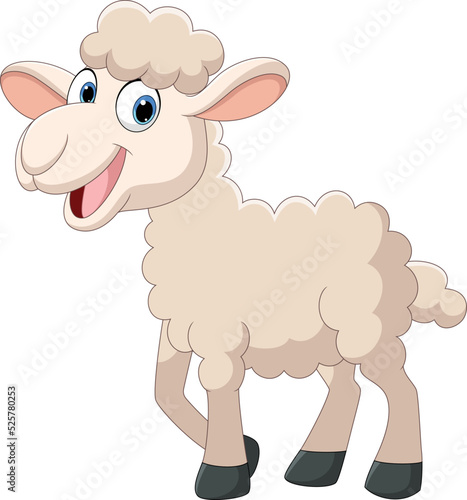 Cartoon funny lamb on white background
