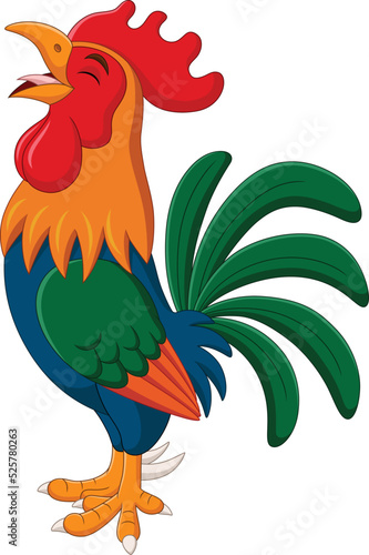 Cartoon rooster crowing isolated on white background