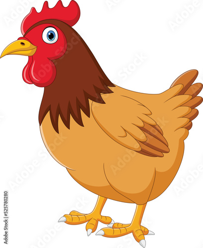 Cartoon hen isolated on white background