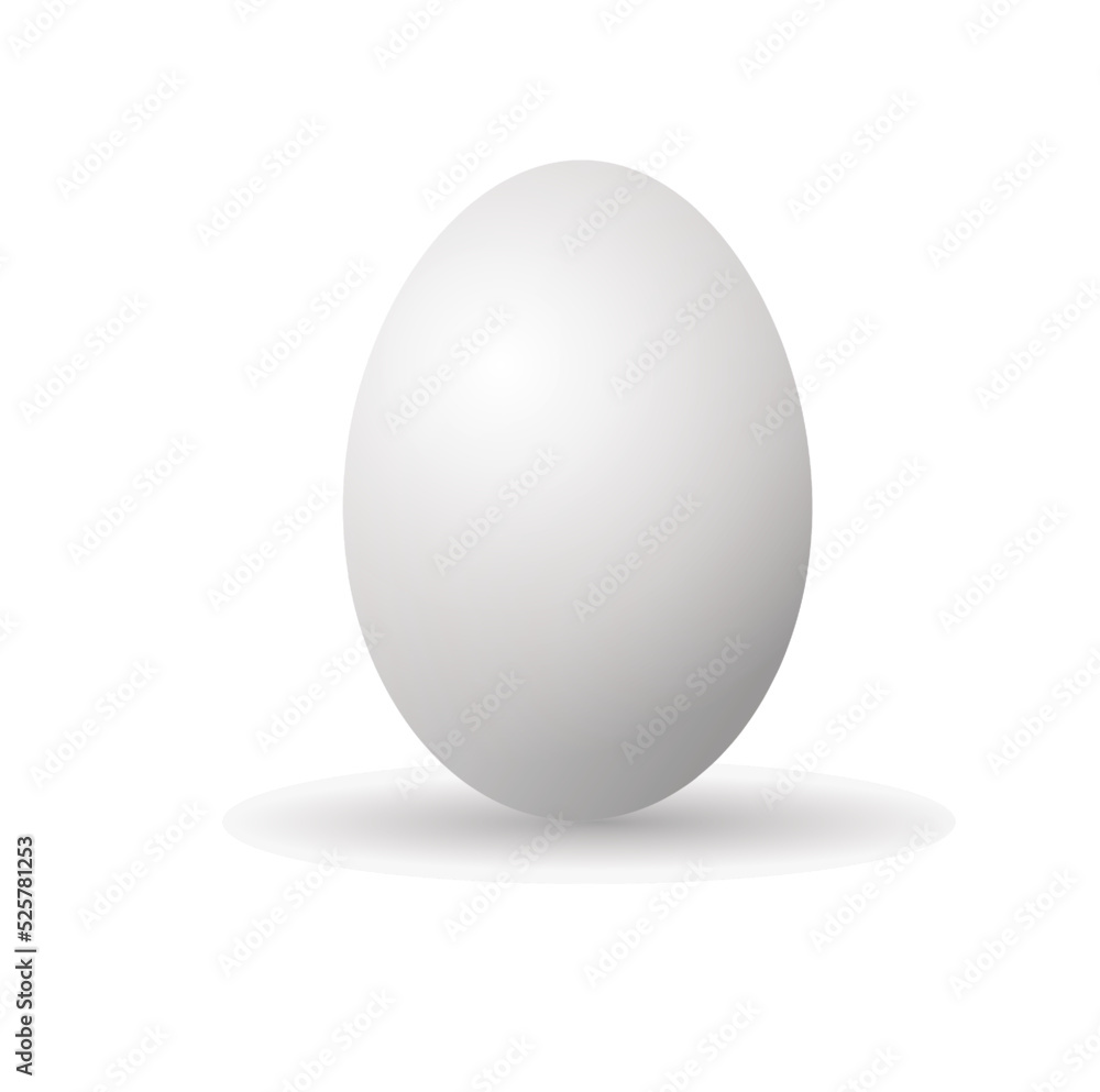 egg isolated on white egg isolated on white