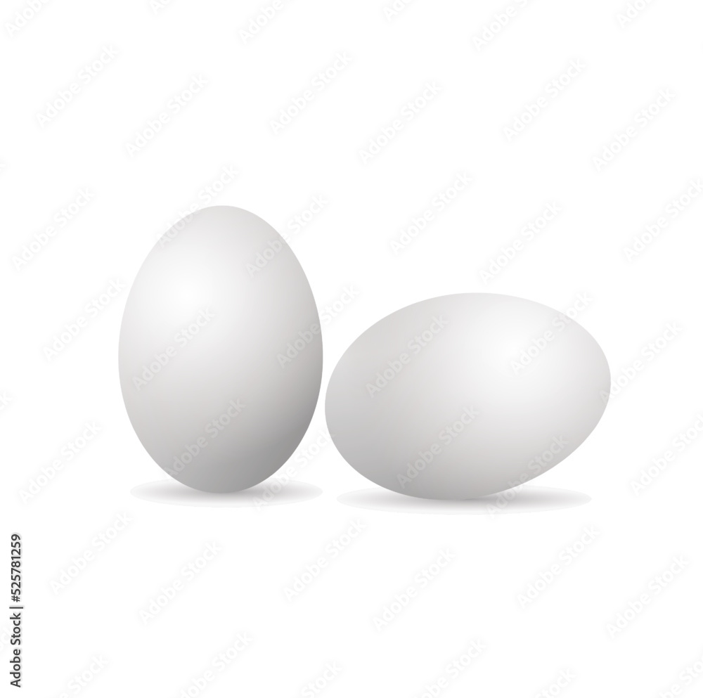 eggs  isolated on white vector illustration