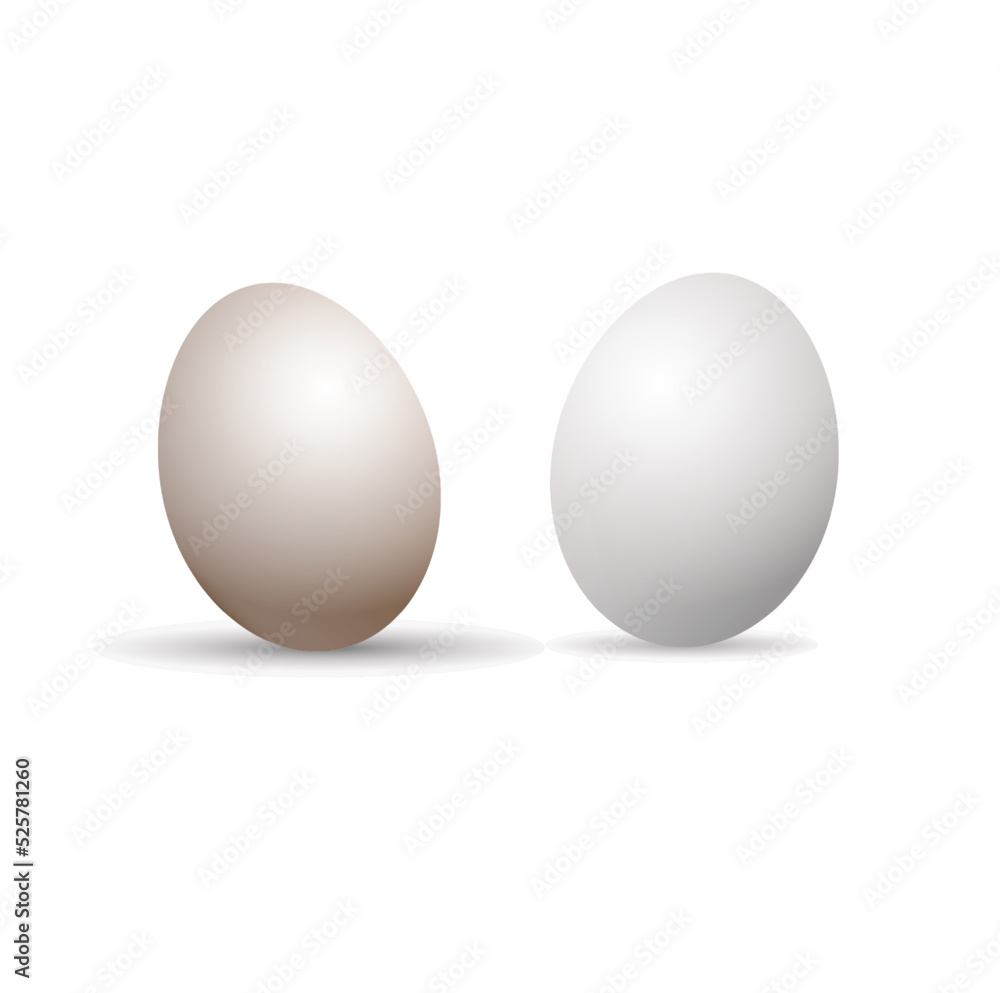 Two eggs on white background. Egg. Breakfast. Two eggs on white background. Egg. Breakfast.