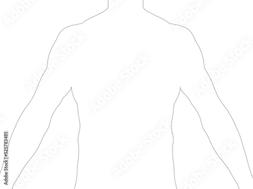 The contour of the torso of a sports man from black lines isolated on a white background. Front view. Vector illustration.