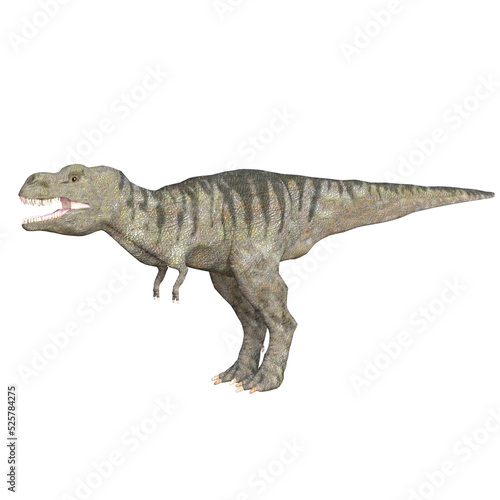 TRex dinosaur isolated 3d render