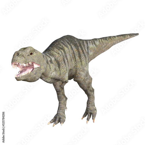 TRex dinosaur isolated 3d render