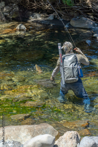 Fly fishing for trout.
